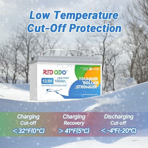 Battery with low temperature cut-off protection in snowy environment.